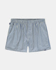 Blue Striped
