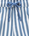 Blue Striped Shorties